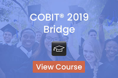 COBIT 2019 Bridge (1 day)