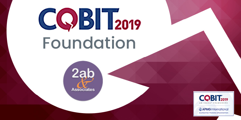 Authorized COBIT-2019 Pdf