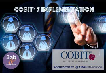 COBIT Implementation